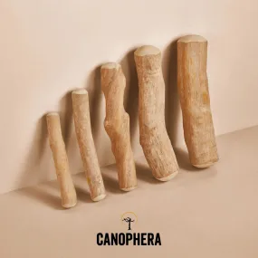 Canophera Natural Coffee Wood Dog Chew Sticks