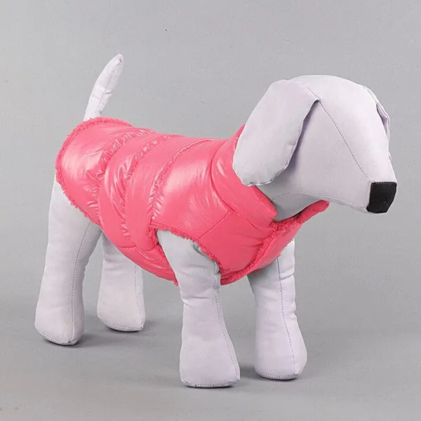 Coat Puppy Warm Down Fleece   Polyester Jackets Clothes