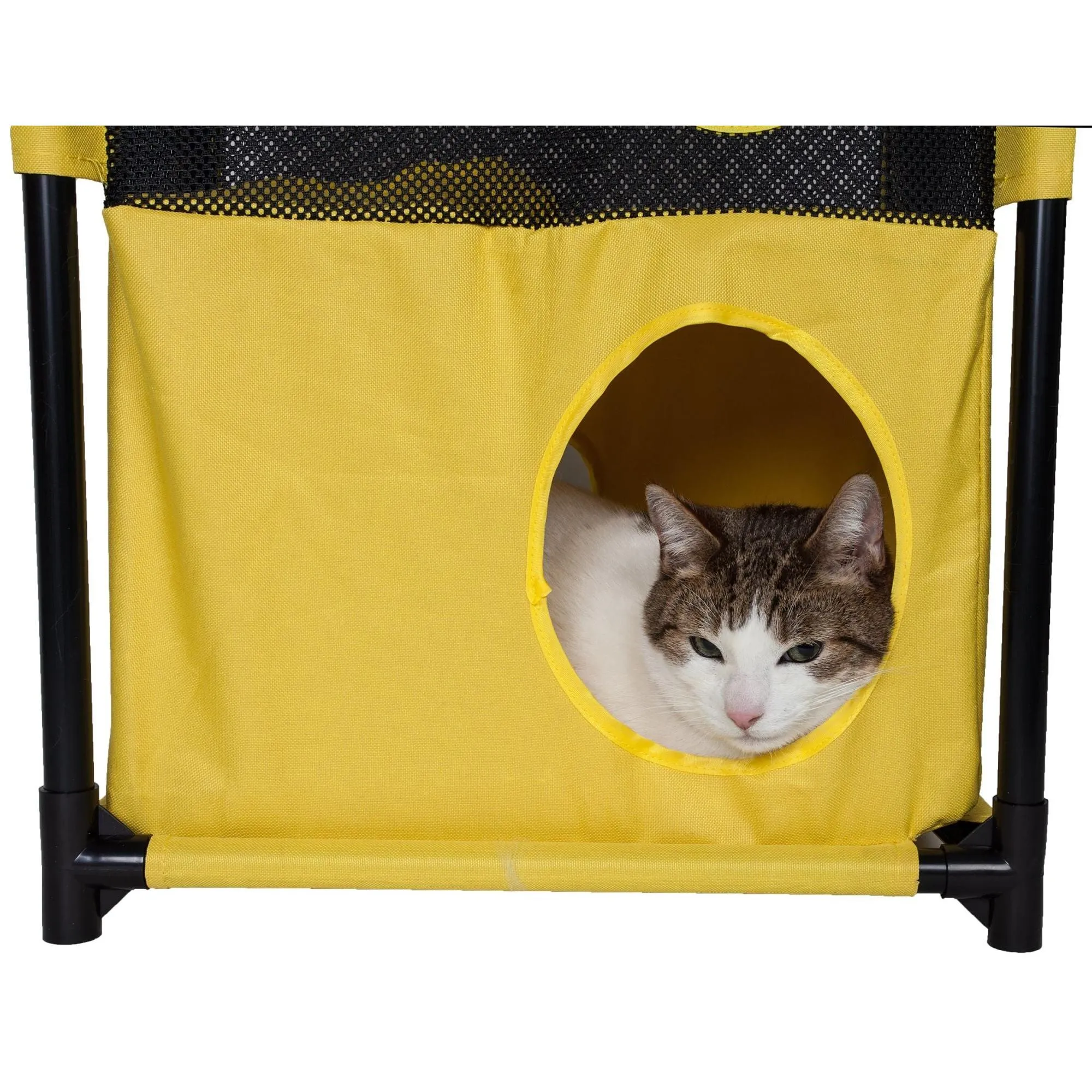 Collapsible cat house with multiple tunnels. HomeStyle