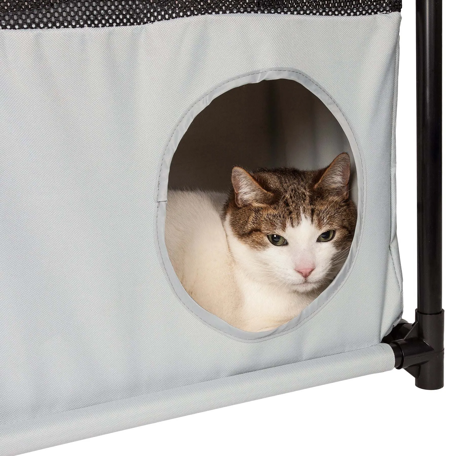 Collapsible cat house with multiple tunnels. HomeStyle