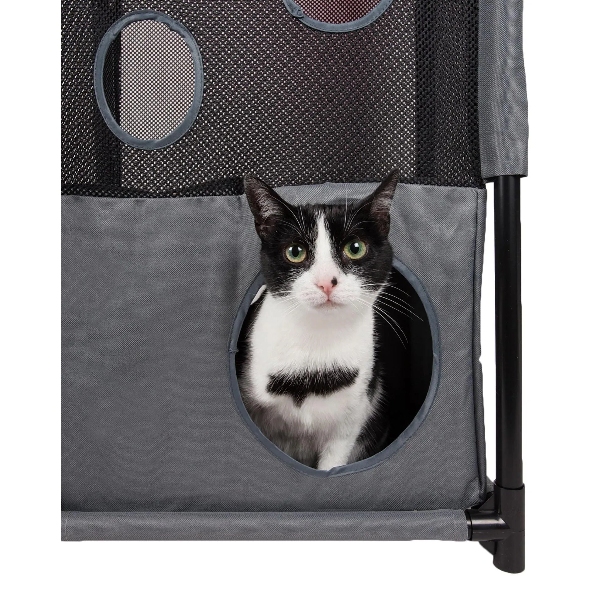 Collapsible cat house with multiple tunnels. HomeStyle