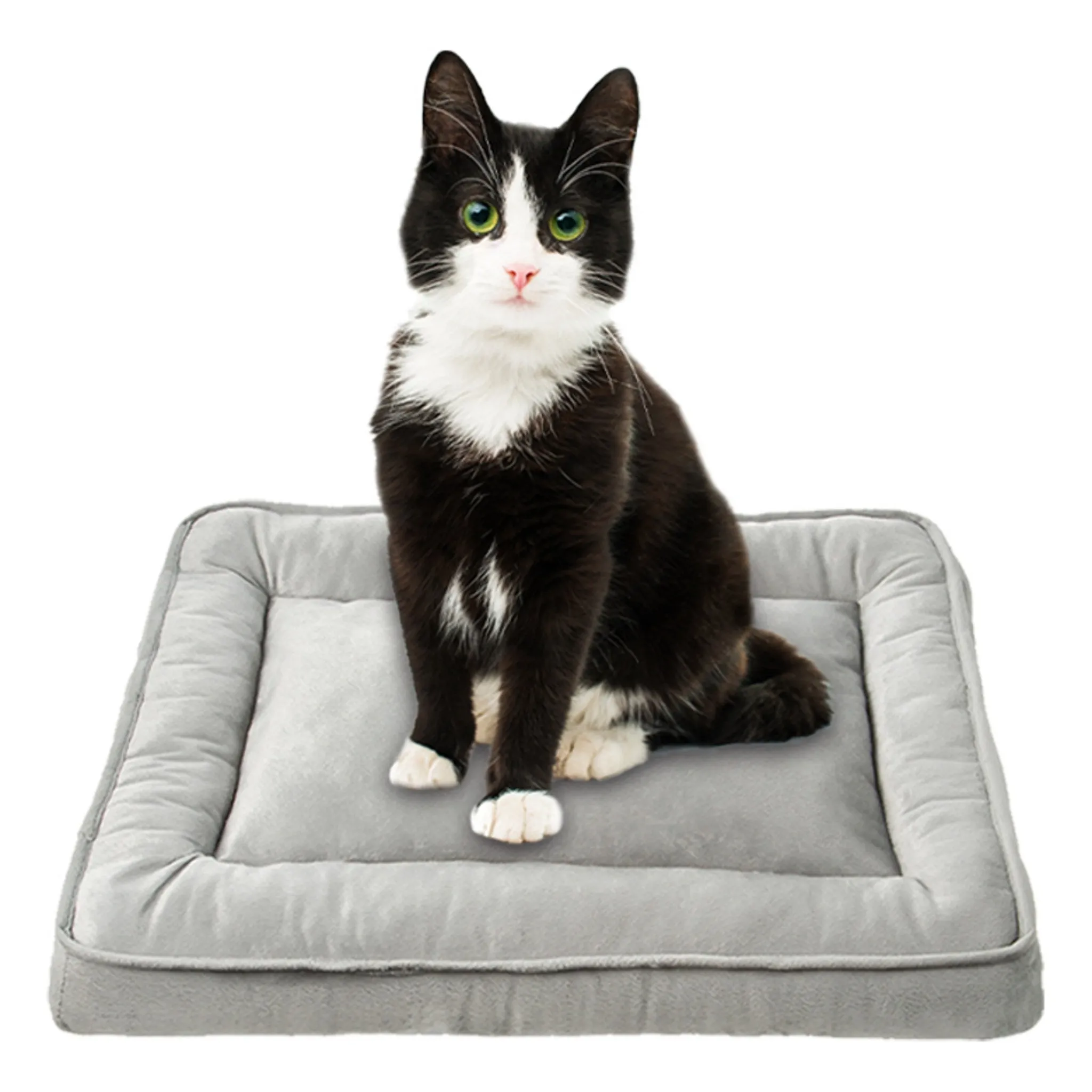 Comet Pet Dog Cushion - Cushion/Pad - 🏆 #63 - Pet Supplies - Best of December