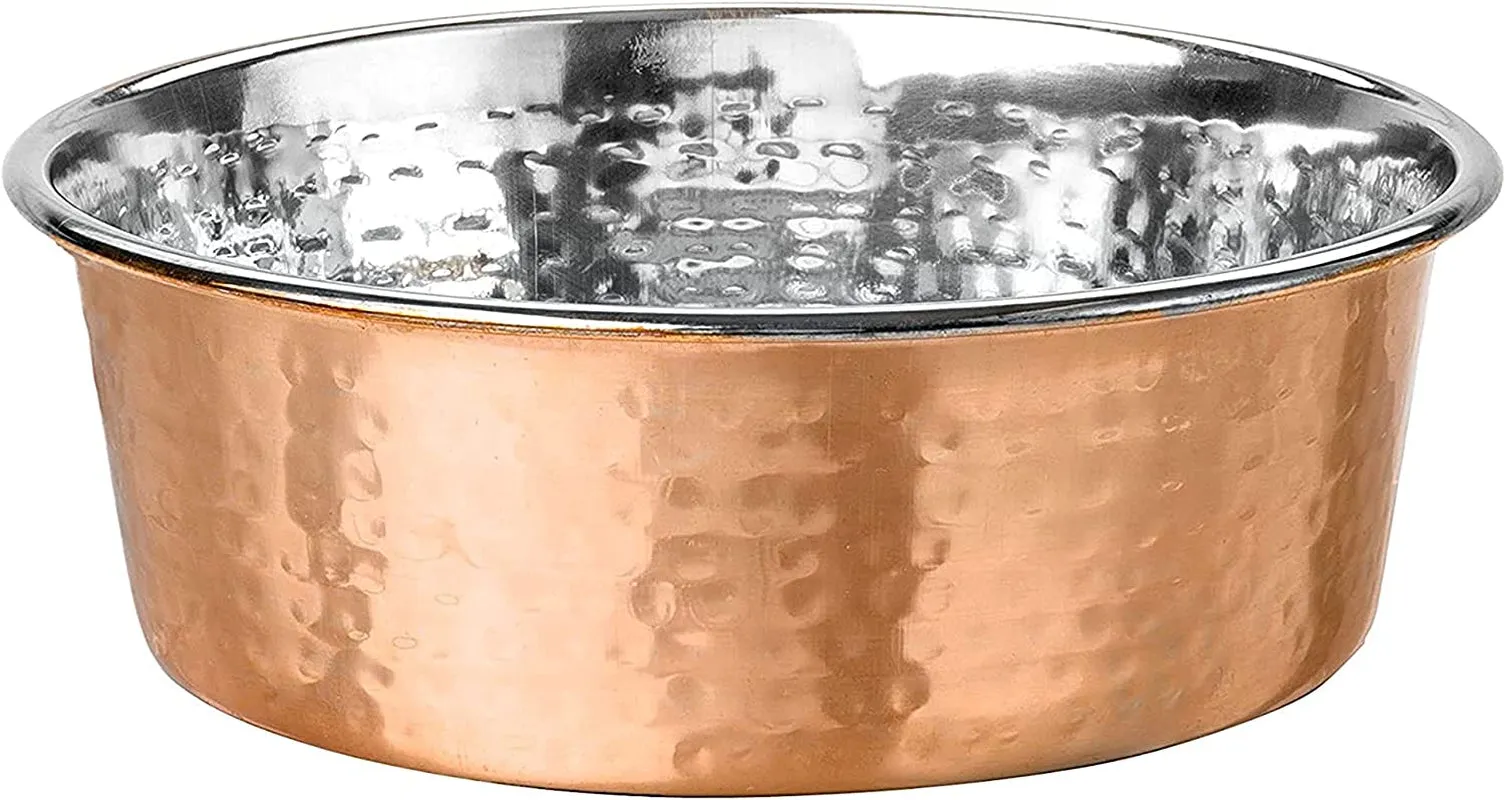 Copper Harmony Dining Bowls - Meet Copper Companions! 🐾🧡