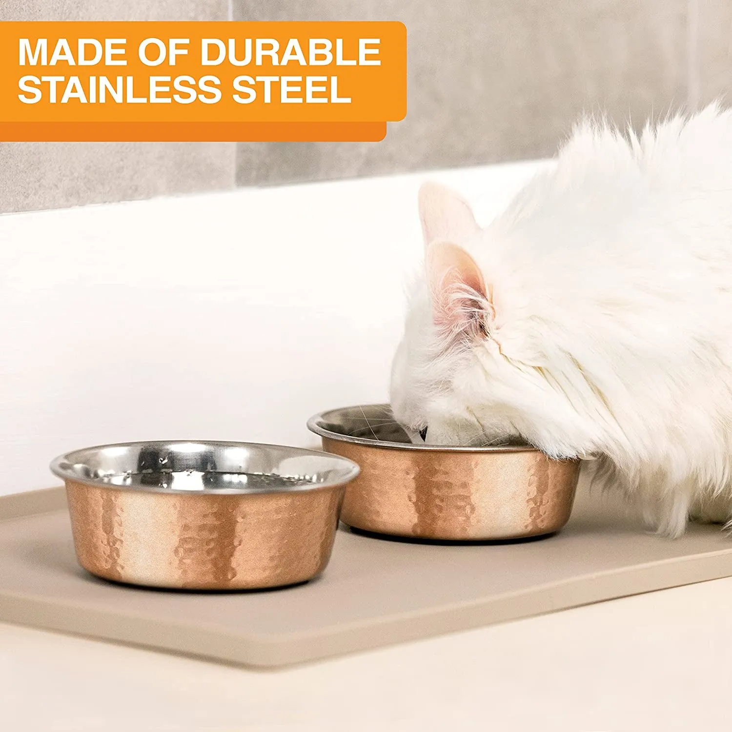 Copper Harmony Dining Bowls - Meet Copper Companions! 🐾🧡