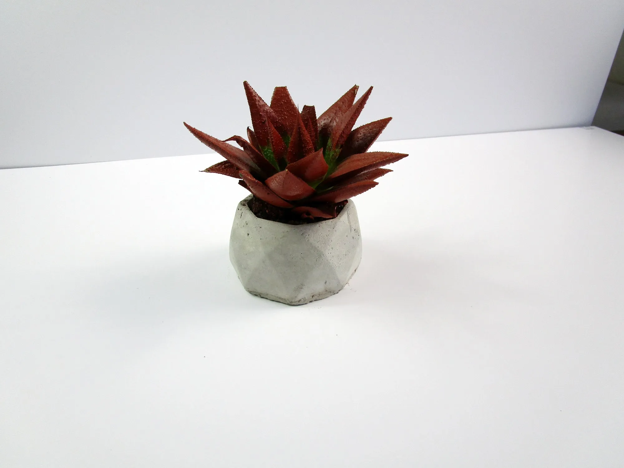 Decorative Item for Room Decor. Geometric Concrete Planter, Concrete Pot, Hand Made. FREE SHIPPING!