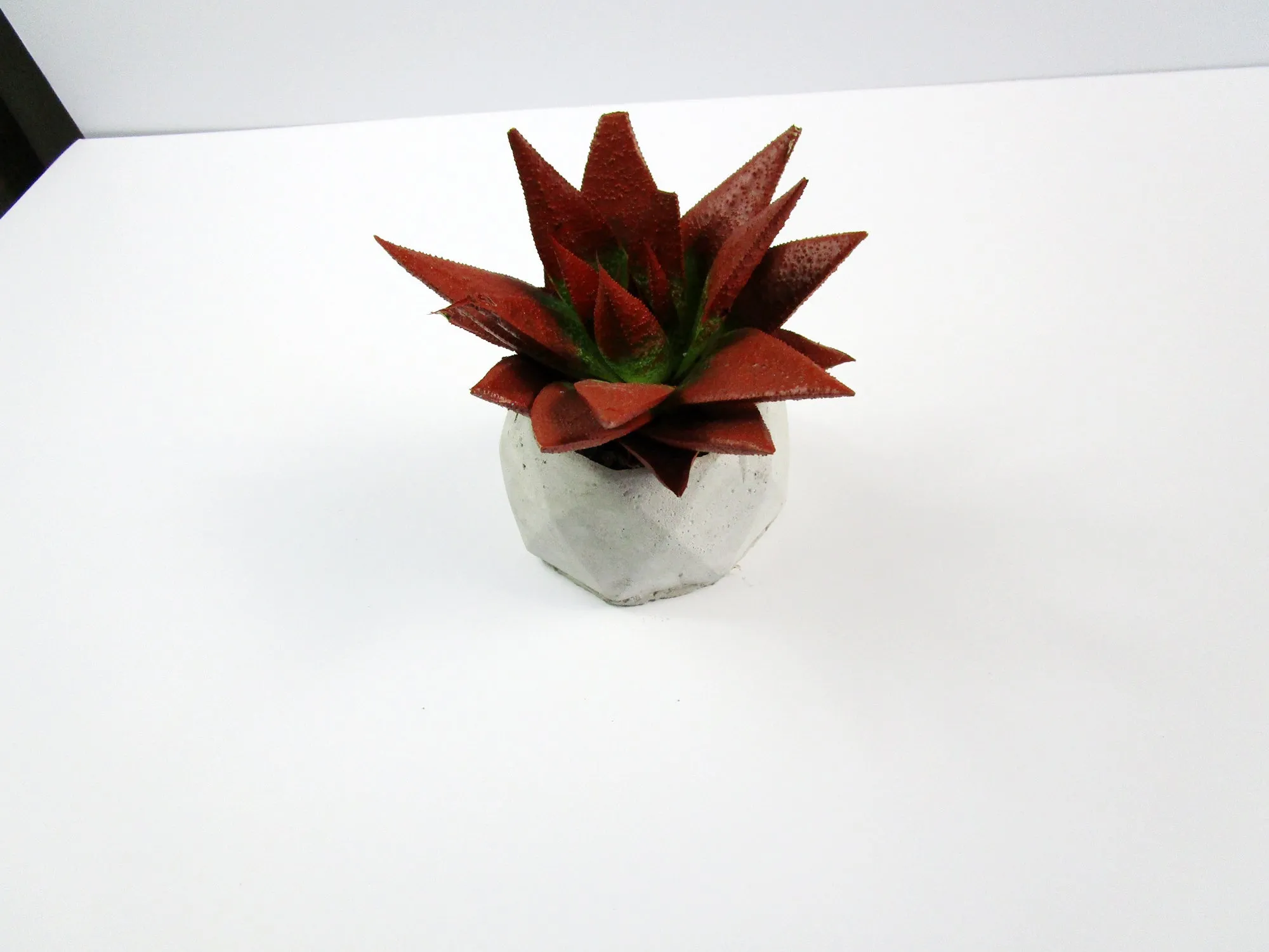 Decorative Item for Room Decor. Geometric Concrete Planter, Concrete Pot, Hand Made. FREE SHIPPING!