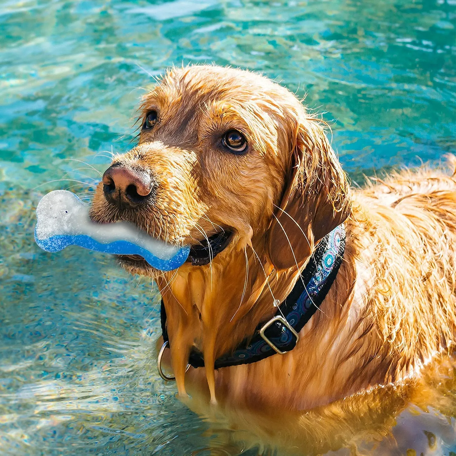 Frozen Blue & White Ice Bone Chew Toy