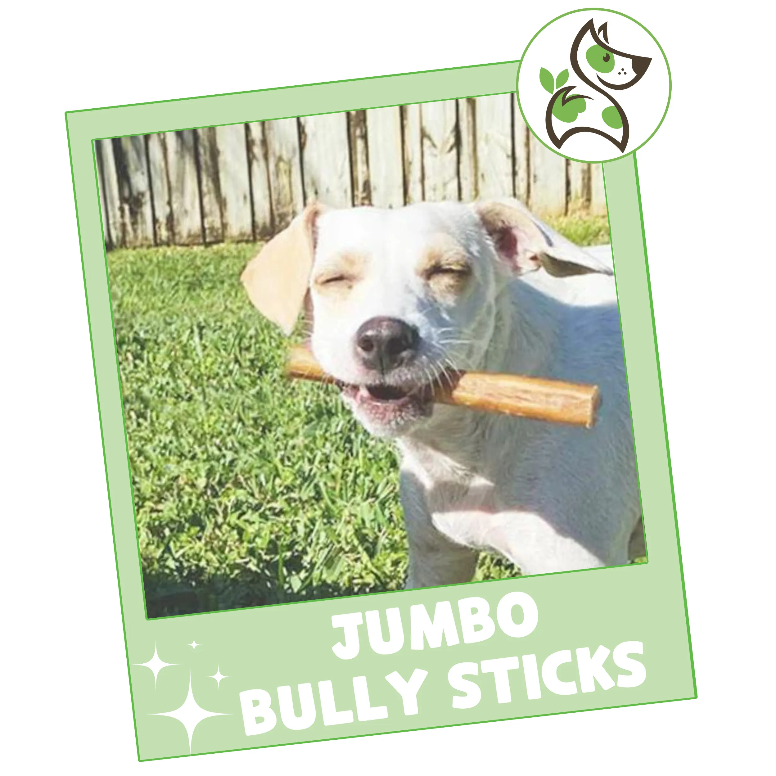 Jumbo Bully Sticks 5-6"