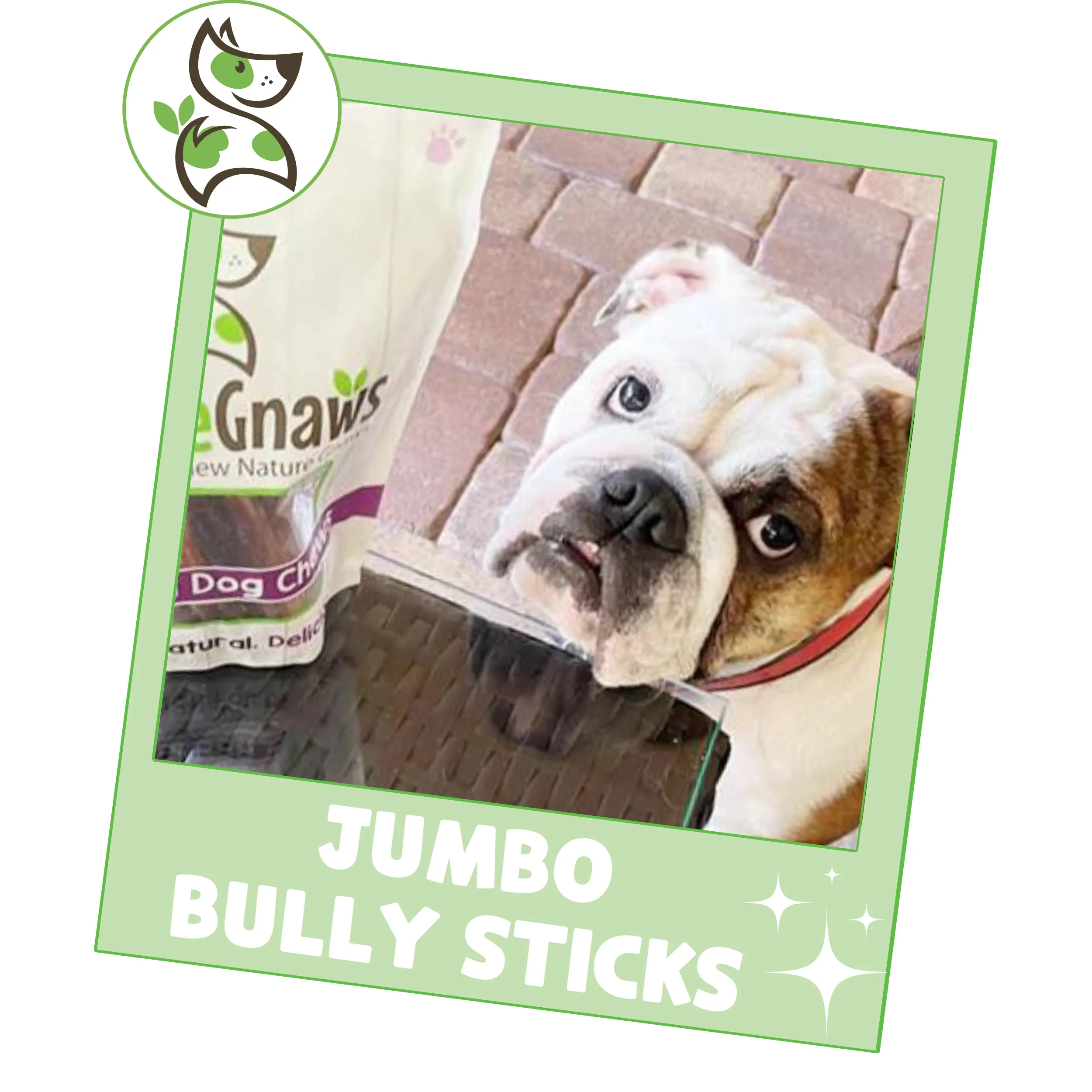 Jumbo Bully Sticks 5-6"