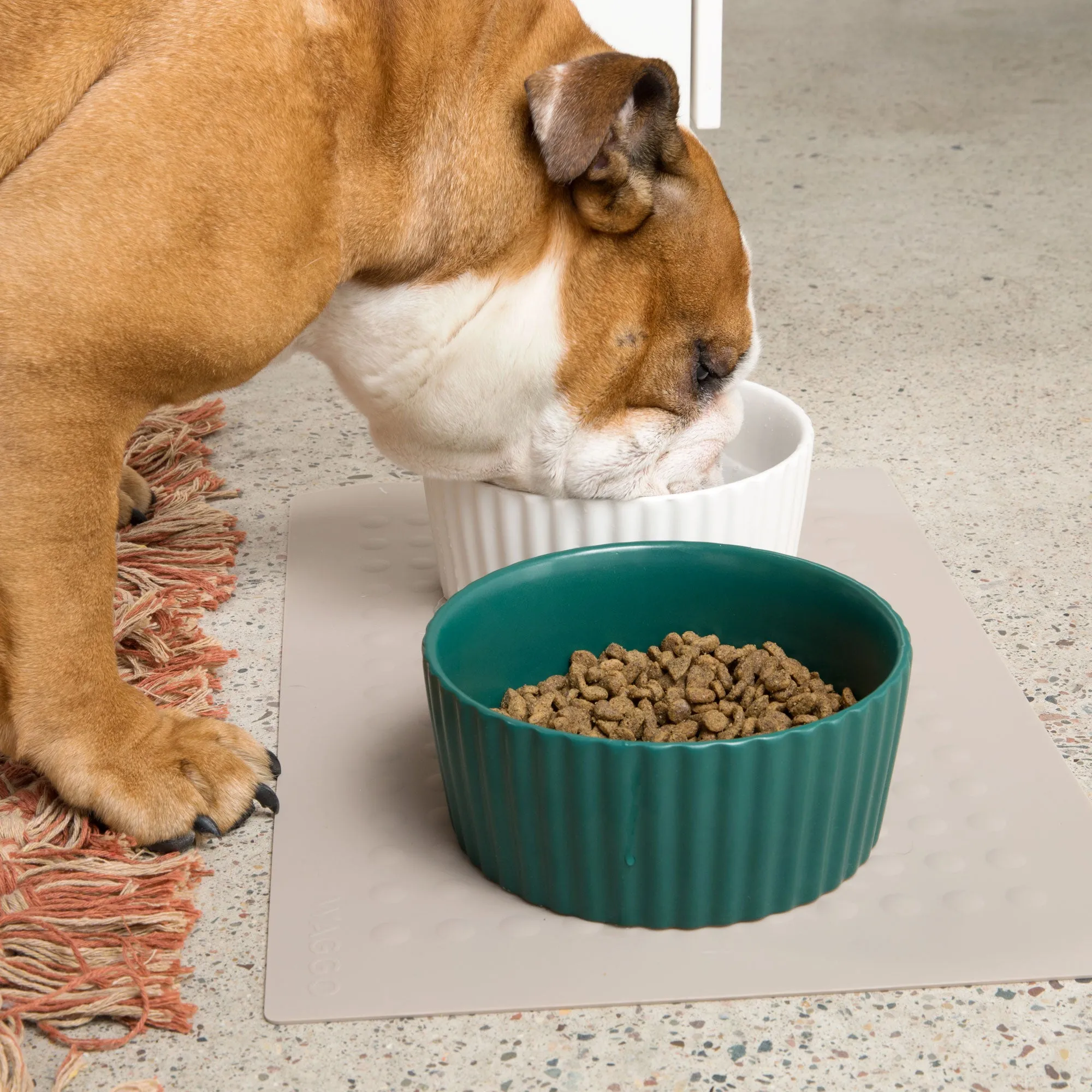 Ripple Ceramic Dog Bowl