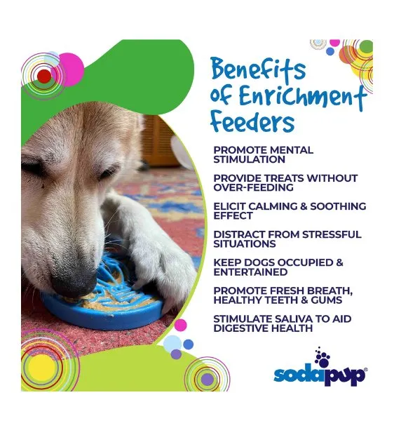 SodaPup Ultra-Durable Enrichment Snacking Coin For Dogs (Round / Blue Air)