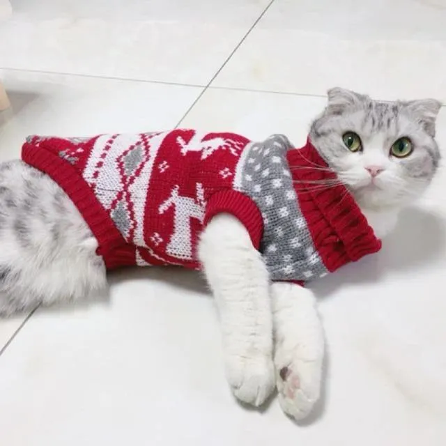 Sweater Winter Warm Cat Suit