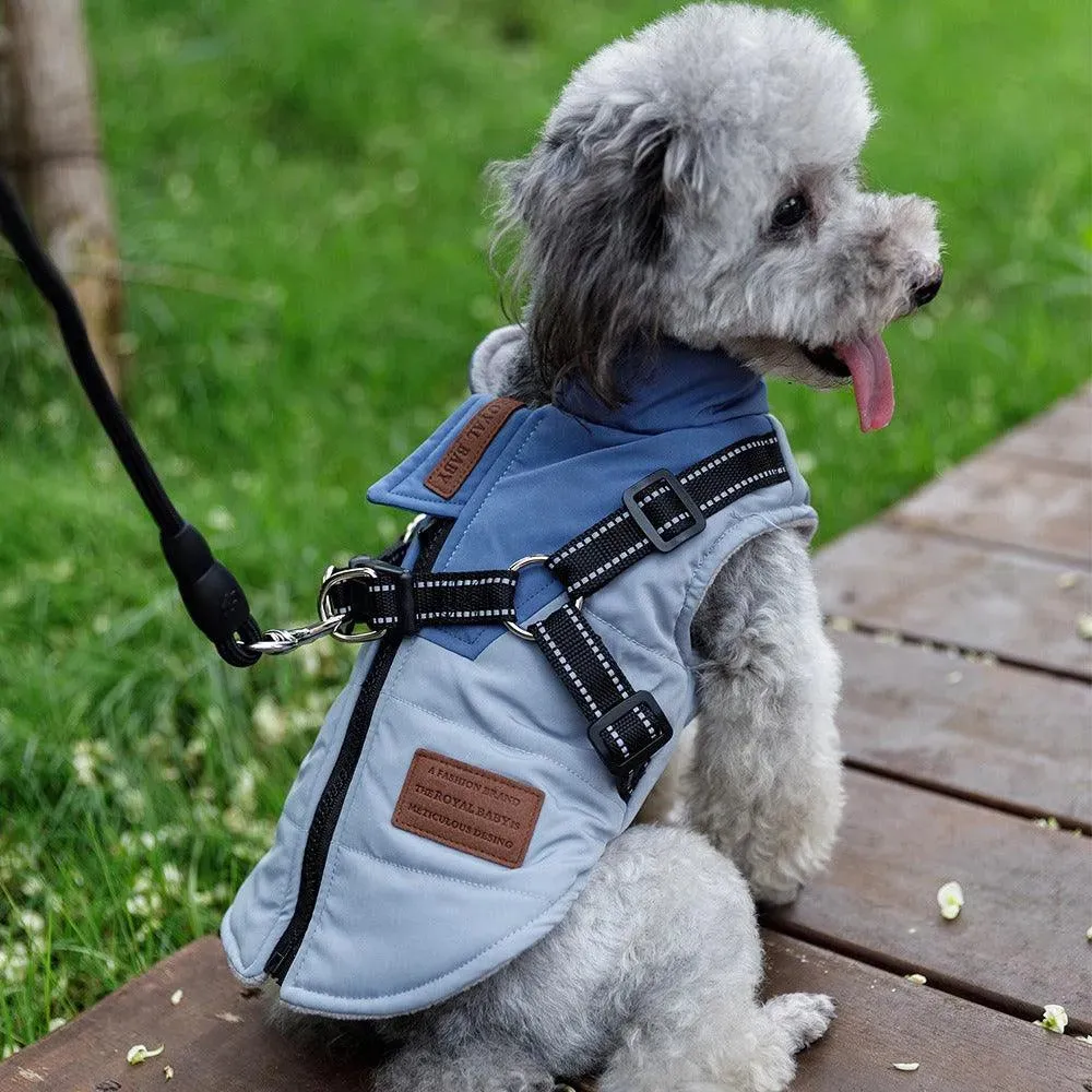 Warm Two-Legged Dog Vest for Autumn & Winter