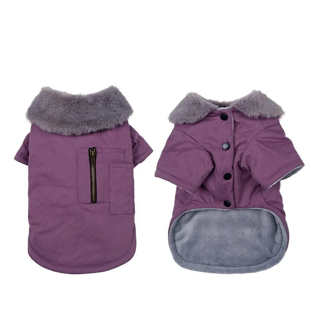 Warm Two-Legged Dog Vest for Autumn & Winter